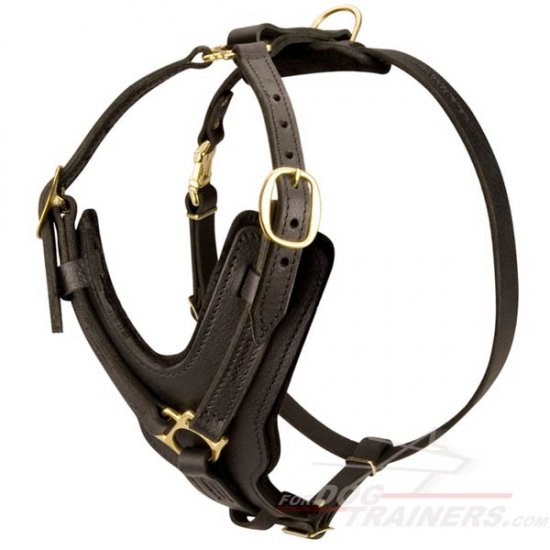 Handcrafted Padded Leather Dog Harness for Walking and Training