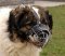 Kaukazian Ovcharka Wire Basket Dog Muzzles Size Chart - Kaukazian Ovcharka muzzle - M4light