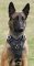 Exclusive Luxurious Handcrafted Padded Leather Dog Harness Perfect for your Malinois H10