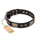 ‘Jewel Passion’ FDT Artisan Fashionable Black Leather Dog Collar