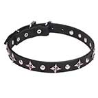 "Pleiades" Leather Dog Collar with Stars and Studs for Stylish Walks 1 inch (25 mm)