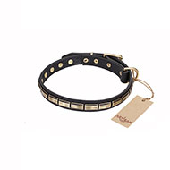 'Wealth Effulgence' FDT Artisan Leather Walking Dog Collar with Brass Plates - 1 inch (25 mm) wide