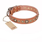 ‘Feast of Luxury’ FDT Artisan Tan Leather Dog Collar with Old Bronze Look Circles - 1 1/2 inch (40 mm) wide