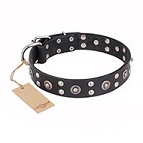 ‘Refined Essence’ FDT Artisan Black Leather Dog Collar with Silvery Studs - 1 1/2 inch (40 mm) Wide