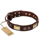 'Golden Stones' FDT Artisan Brown Leather Dog Collar with Old Bronze Look Plates and Circles - 1 1/2 inch (40 mm) wide