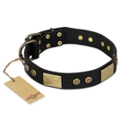 'Spanish night' FDT Artisan Fashionable Leather Walking Dog Collar - 1 1/2 inch (40mm) wide