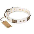 'Snow-covered Gold' FDT Artisan White Leather Dog Collar - 1 1/2 inch (40mm) wide