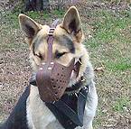 German Shepherd Protection Leather Dog Harness with Padded Chest Plate