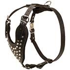 Studded Leather Dog Harness for Stylish Walking