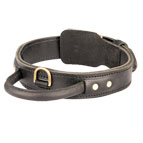 2 Ply Leather Rottweiler Collar with Handle for Agitation Training
