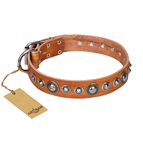 ‘Daily Chic’ FDT Artisan Tan Leather Dog Collar with Decorations