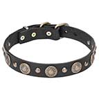 "Magic Necklace" Stylish Leather Dog Collar with Plates and Small Studs Made of Brass