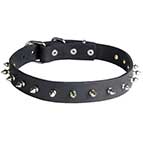 Designer Leather Dog Collar with Nickel Spikes