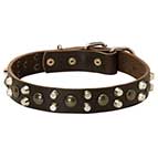 Durable Leather Dog Collar with Combo of Pyramids and Studs