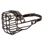 Wire Dog Mouth Guard for Winter with Black Rubber Cover