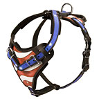 Handpainted Designer Leather Amstaff Harness for Agitation Training and Walking