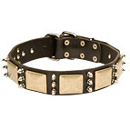 40% DISCOUNT Custom Leather Dog Collar with Sparkling Spikes and Old-looking Plates