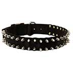 Spiked Black Nylon Dog Collar for All Weather Use