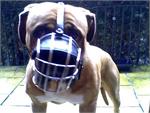 Adjustable and Lightweight Basket Wire Pitbull Muzzle