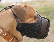 Leather dog muzzle for Bullmastiff