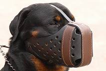 Leather dog muzzle