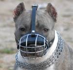 Wire Basket Dog Muzzles