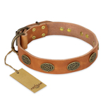 'Magic Amulet' FDT Artisan Tan Leather Dog Collar with Oval Studs