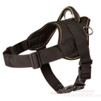 Wirehaired Pointing Griffon Nylon dog harness with handle