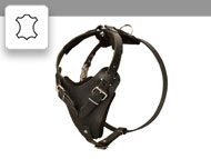 Leather Dog Harnesses