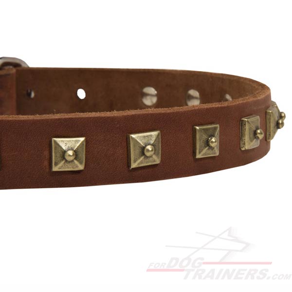 Dog Collar Leather with Rustproof Fittings