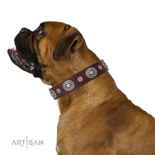 Boxer adorned leather dog collar with studs