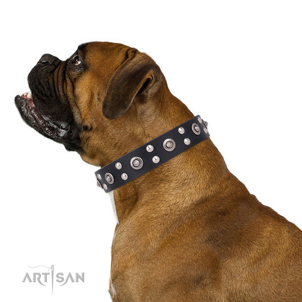 Boxer decorated leather dog collar with embellishments