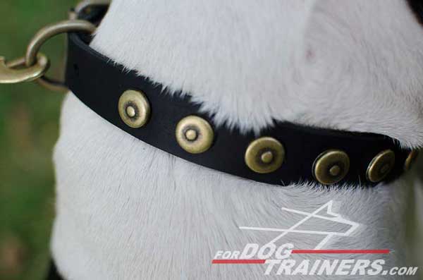 Fashion Brass Circles on Dog Collar Leather for Walking