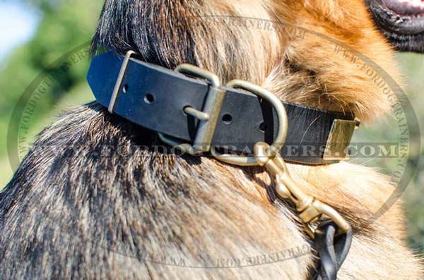 Brass D-ring on Leather Decorated German Shepherd Collar