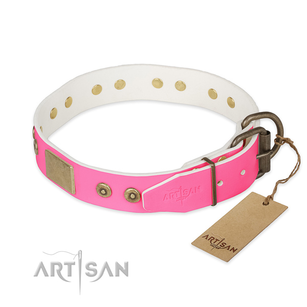 Brass Decorative Parts on Pink Dog Collar