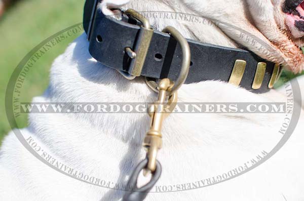 Brass D-ring for dog leash