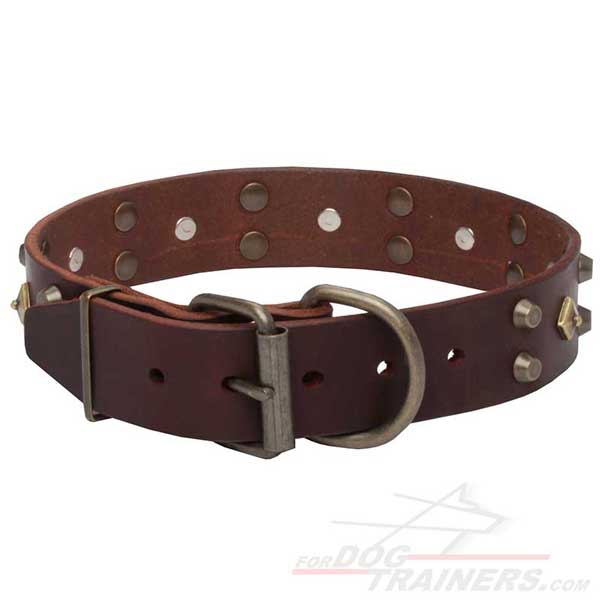 Buckled Leather Dog Collar Easy to Adjust