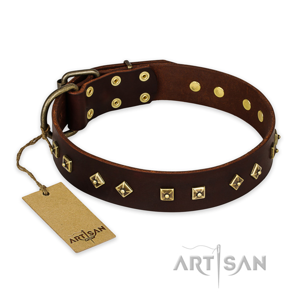 Brown Leather Dog Collar with Durable Buckle and D-Ring