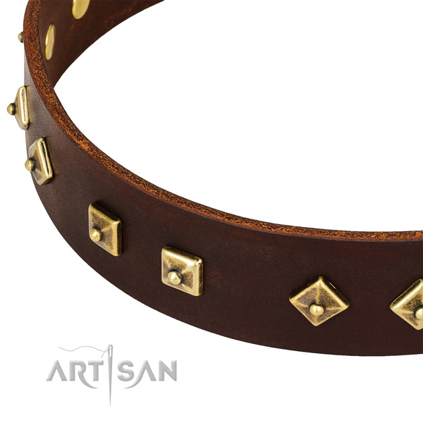 Perfect Fit Brown Leather Dog Collar