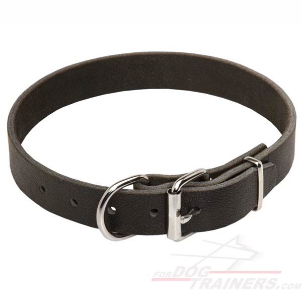 Affordable Leather Cane Corso Collar with Corrosion Resistant Hardware