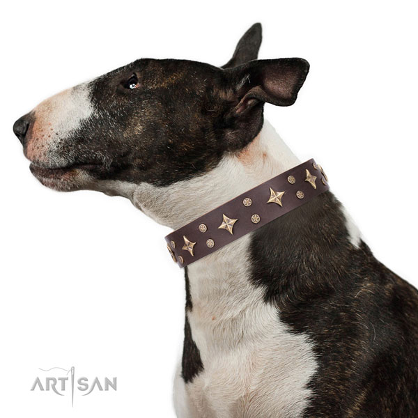 Bull Terrier perfect fit leather dog collar with studs