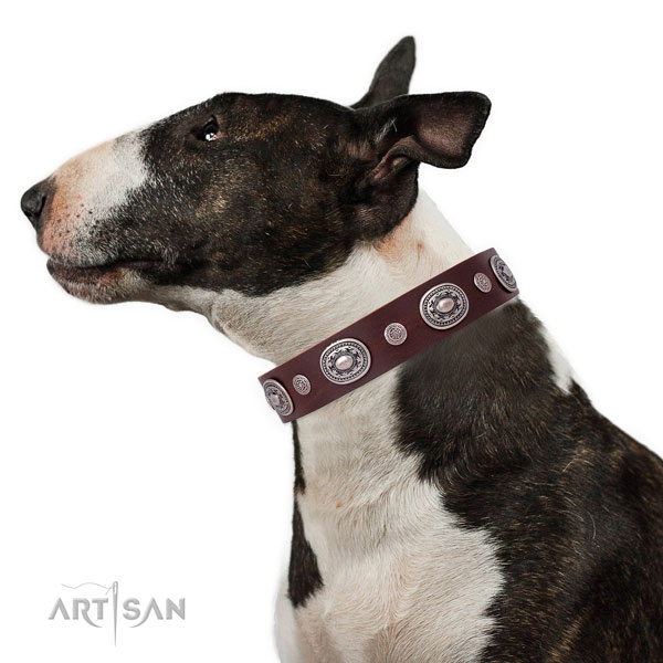Bull Terrier easy to adjust full grain leather dog collar with embellishments