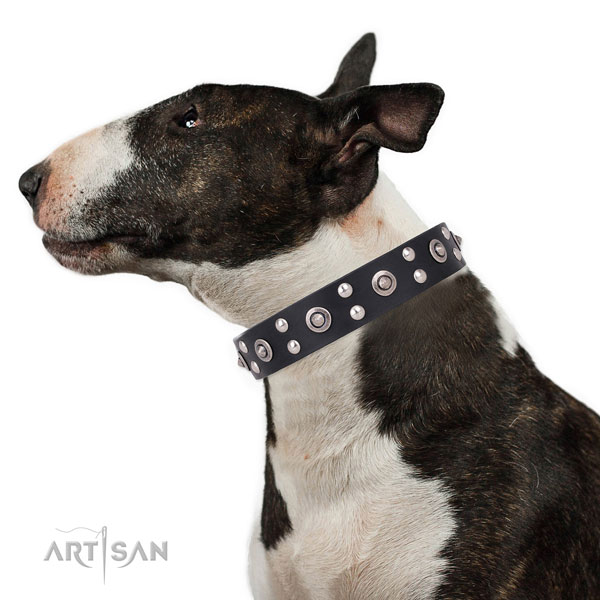Bull Terrier comfortable full grain genuine leather dog collar with studs