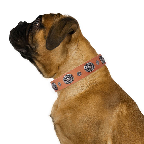 Bullmastiff embellished leather dog collar with embellishments