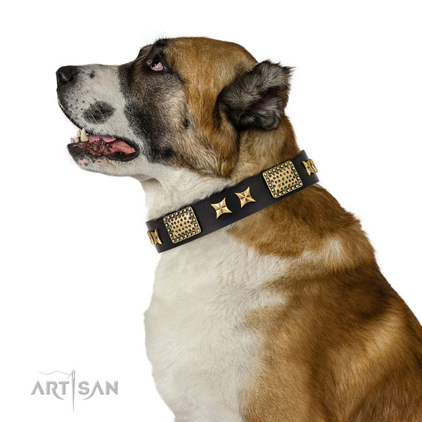 Central Asian Shepherd everyday use dog collar of designer leather