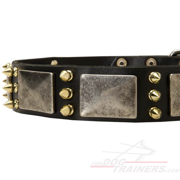 Corrosion Resistant Spikes and Plates on Strong Leather Cane Corso Collar