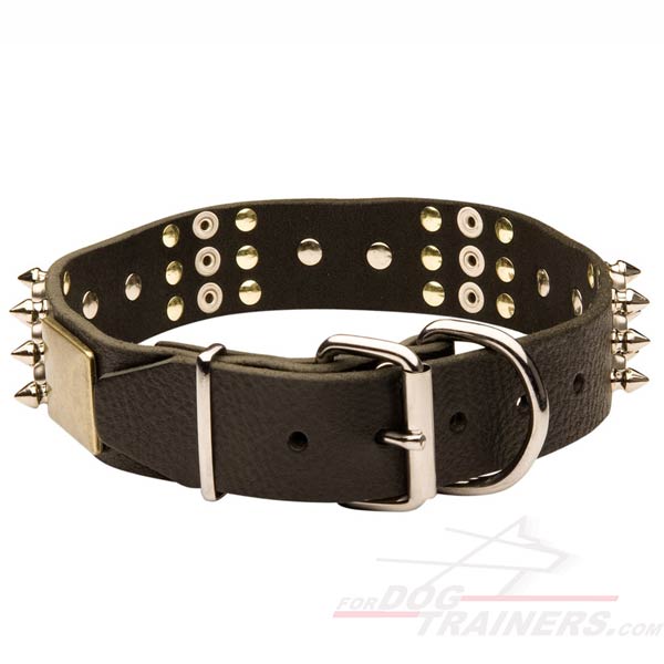 Durable Leather Pitbull Collar 