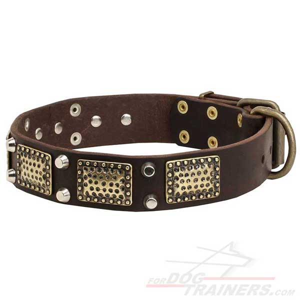 Leather dog collar with vintage brass plates and nickel studs