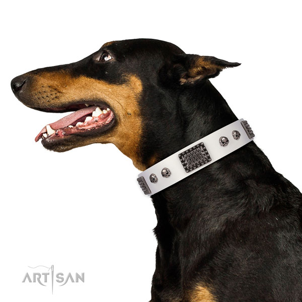 Doberman stylish walking dog collar of comfortable genuine leather