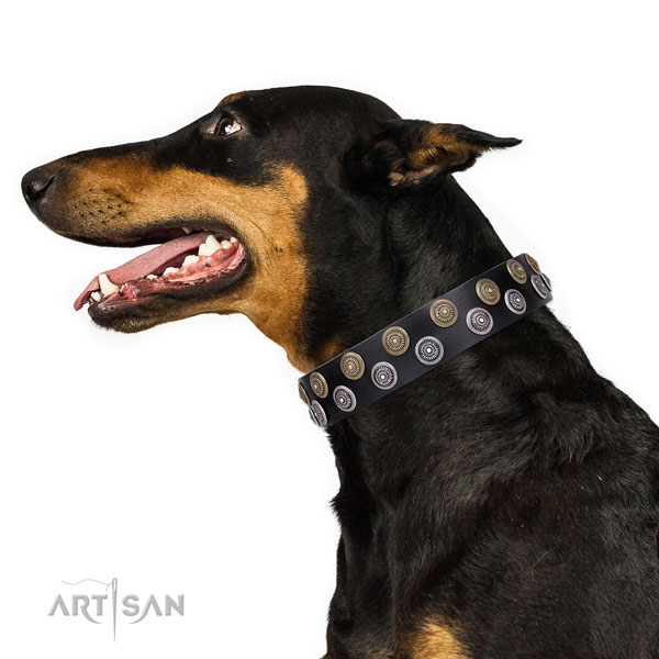 Doberman exceptional leather dog collar with decorations